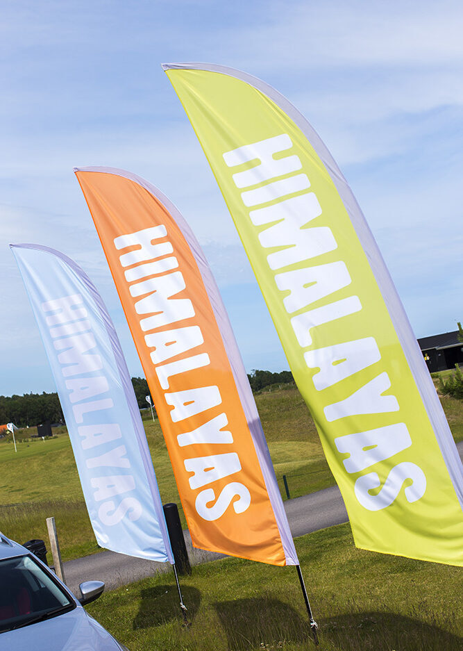 beachflags